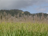 5b949038.JPG