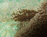 ��72