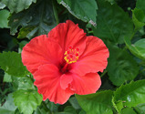 u1