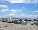 sa1