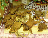 kaeru
