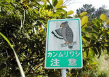 a94919ec.jpg