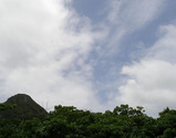 tai1