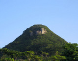 f2cd5998.jpg