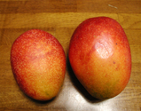 mango1