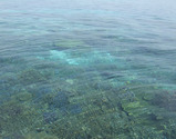 u3