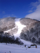 ǭ����른��󥤥󣱣�����