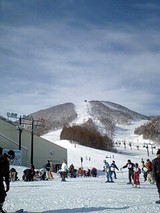 83f90240.jpg