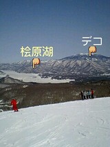 99bd08f8.jpg