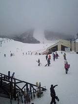 cdee5f46.jpg