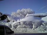 snow1