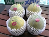 melon