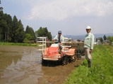 田植え1