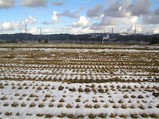 積雪その1