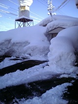 snow4