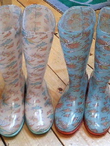 200504301911.jpg