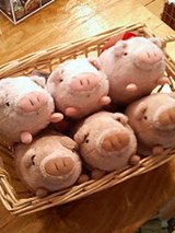 200503061506.jpg