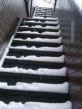 200503041131.jpg