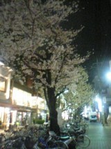 05-04-06_21-37.jpg