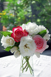 flower2