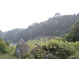 yama