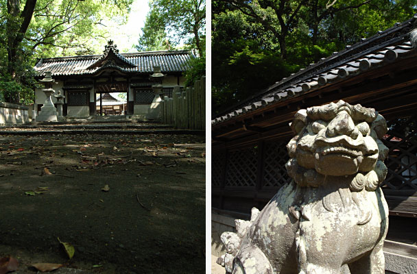 初夏の伊居太神社