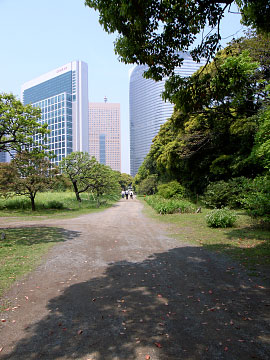 ��Υ�ܤ��鸫����α�϶�