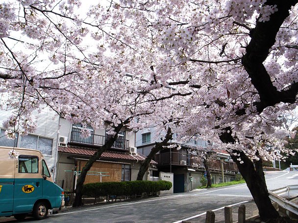 池田市綾羽