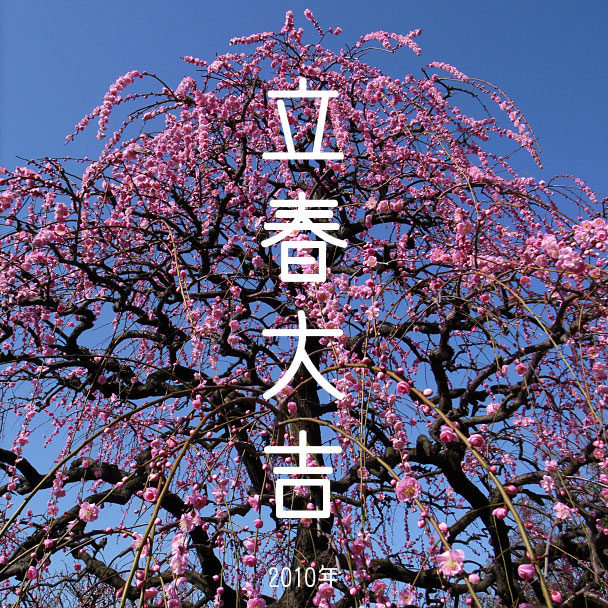 立春大吉