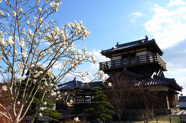 城跡公園
