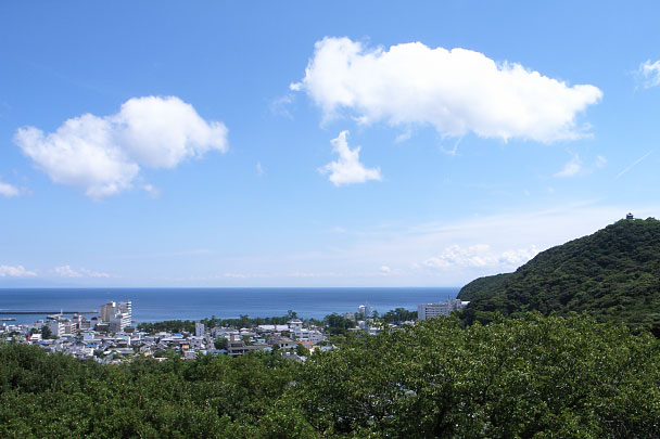 曲田山から見た洲本