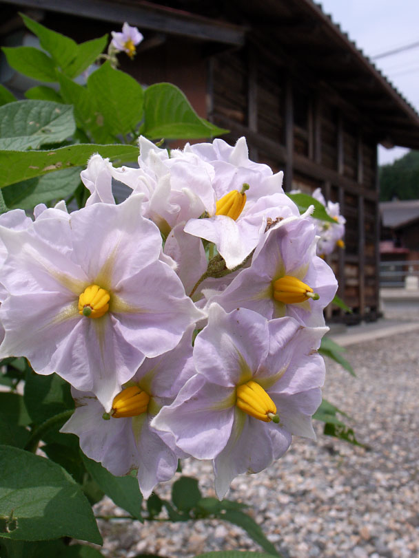 ���㥬����β֤�����