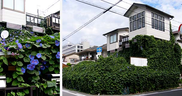 朝顔御殿