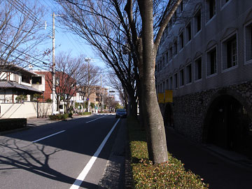街道を行く 3