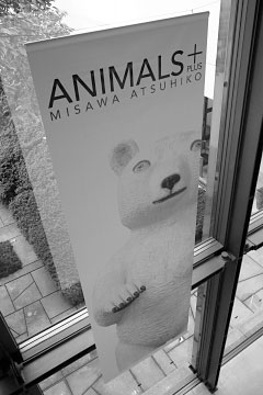 ANIMALS��