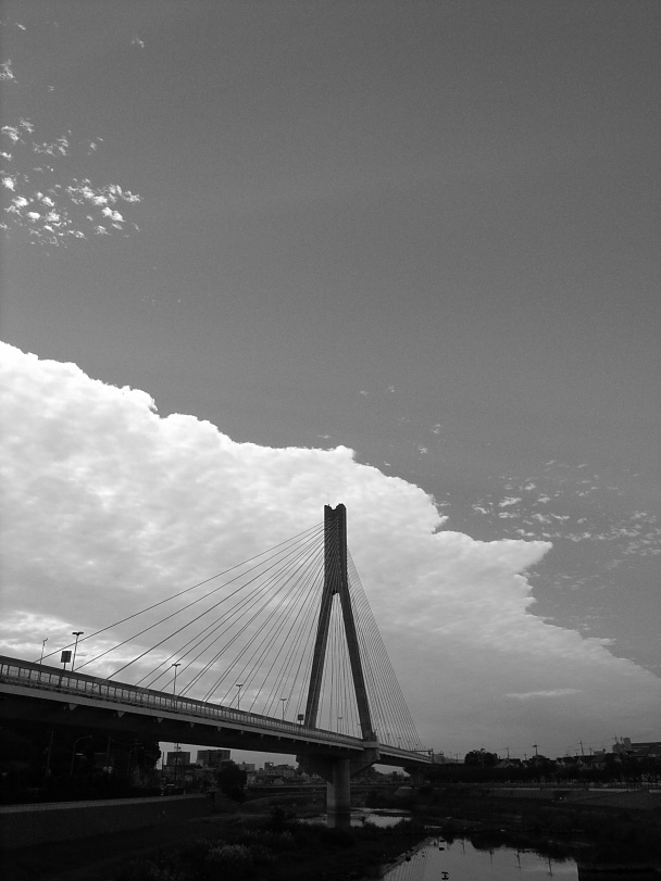 White and Gray