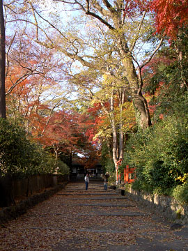伊居太神社参道