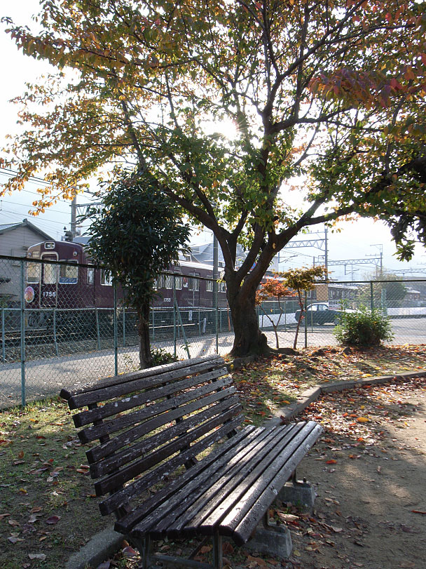 出在家公園