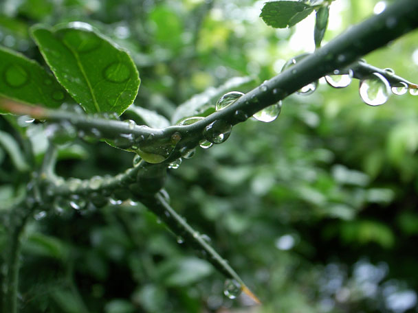 ���饿�� 1