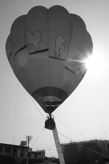 Ǯ���� ��Υ�����