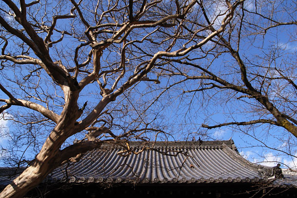西光寺