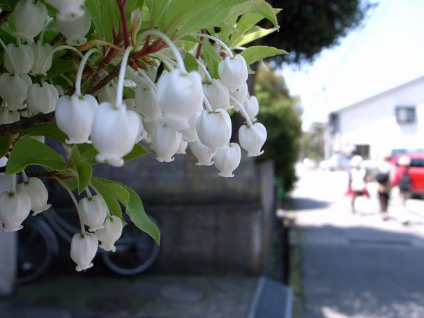 寺町にて