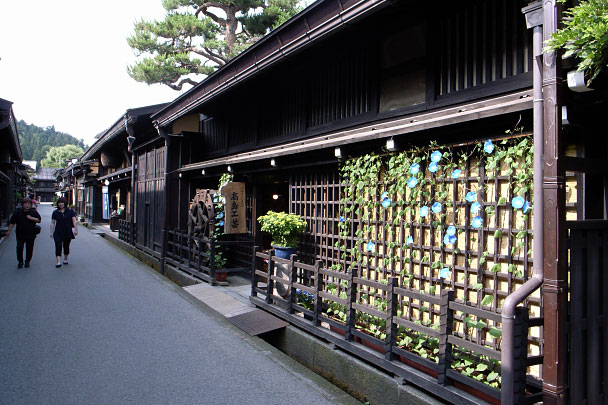 �⻳�Ի�Į����Ū��¤ʪ����¸�϶�