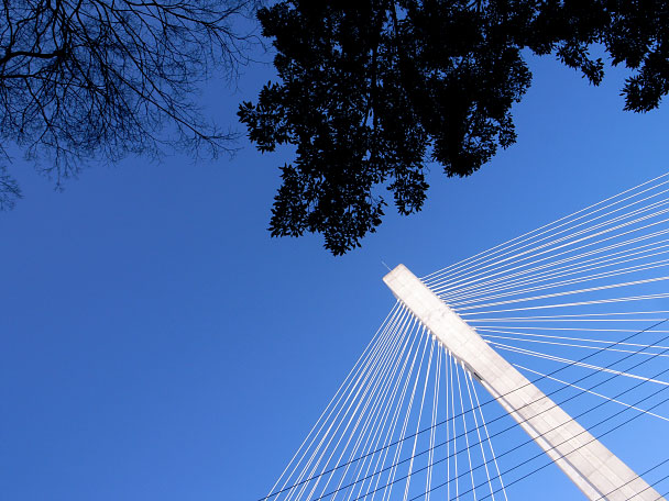 �����ζ�