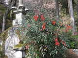 b6add98d.JPG