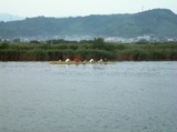 oohasigawa02
