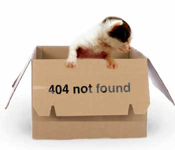 404