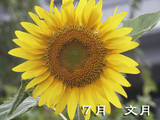 2008ǯ����β���