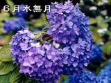 2008ǯ����β���