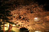 3a827480.jpg